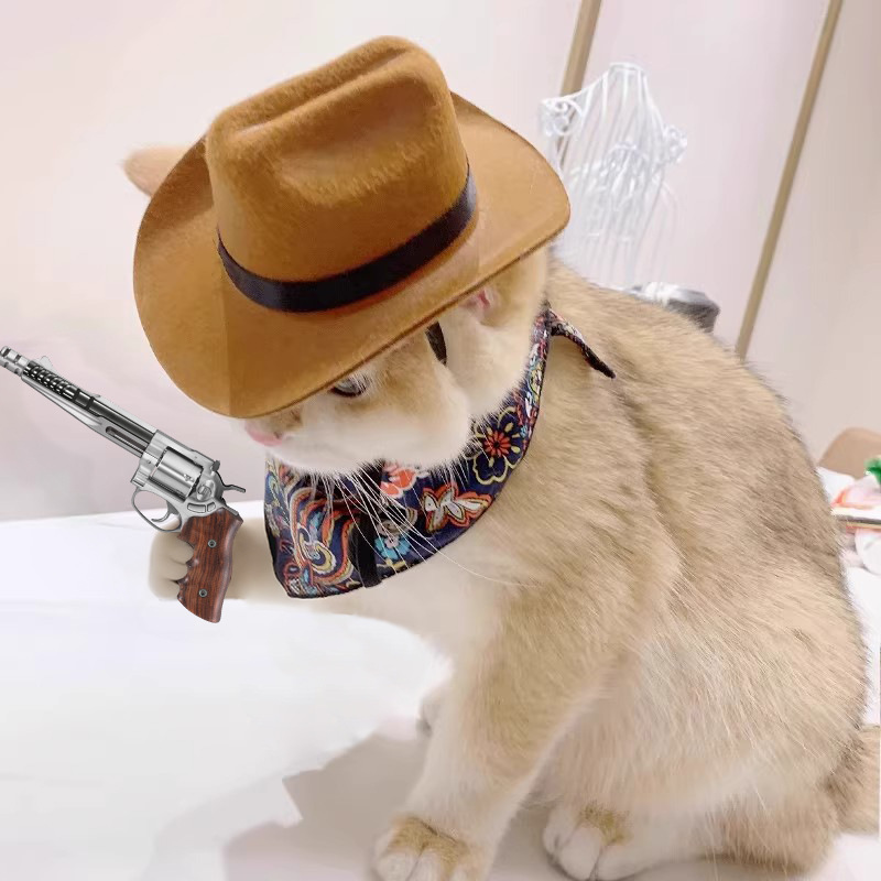 Cowboy Hat Straw - ﻿ 猫カウボーイハットペットヘッドアクセサリーウエスタンカウボーイハット写真撮影犬小型犬ヘルメットわら織りペット帽子